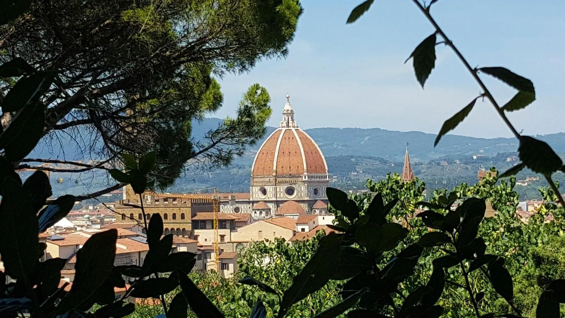 Nice Apartment In Firenze With Wifi Florence